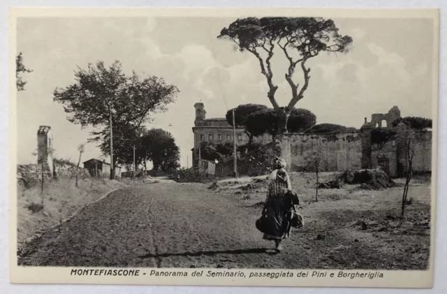 Cartolina Montefiascone panorama pini animata Viterbo paesaggistica T13