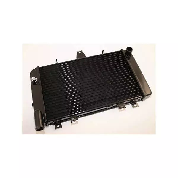 Kawasaki 1100 Zrx 1200 Zrx -97/06- Radiateur Eau -960007