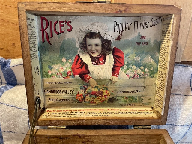 Antique Rice's Popular Flower Seed Box Cambridge Valley Seed Gardens New York