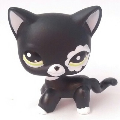 Figurine Petshop Chat Europeen Noir Lps Rare En Tres Bon Etat Eur 13 49 Picclick Fr