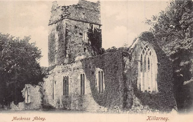 Killarney Irland ~ Muckross Abbey ~ Lawrence Foto Postkarte