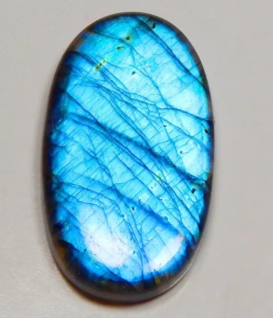 72 Ct TOP 100% Natural Dark Blue Fire Labradorite Oval Cabochon Gemstone T35