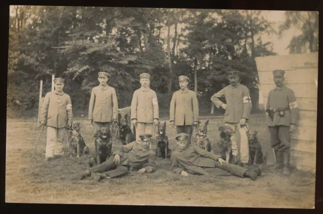 Foto AK - Sanitäter Hundestaffel Hunde wohl Pont a Vieille Loos Frankreich 1.WK