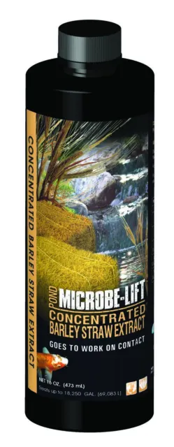 Microbe Lift Barley Straw Concentrated Extract 16 oz.