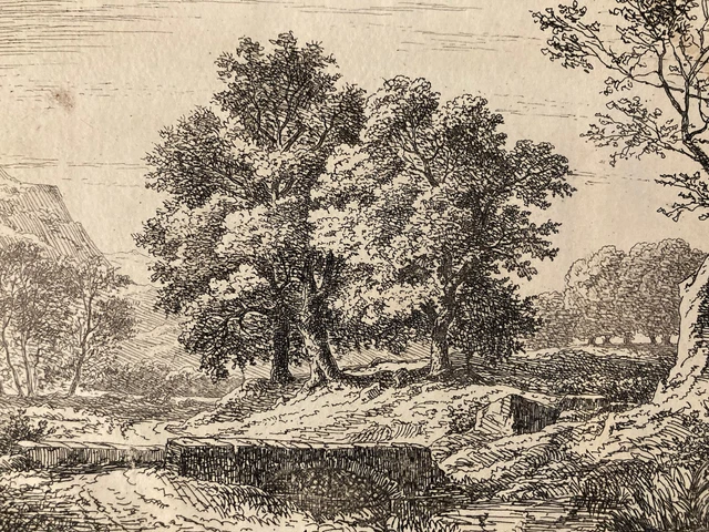 Gravure Ancienne Originale – Arbre Et Feuillage – Style Delacroix – Lithographie D'art