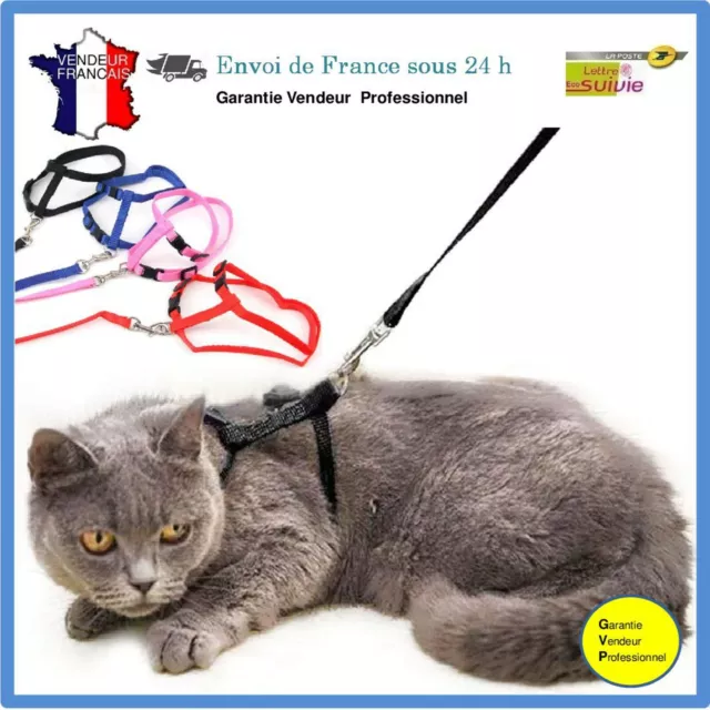 Harnais Laisse chat  Collier chat Promenade chat