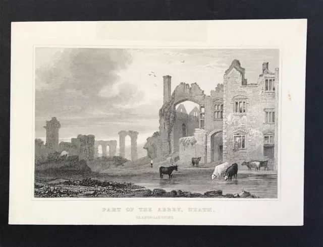 Glamorganshire 1830 Part of the Abbey Neath Wales engraved print