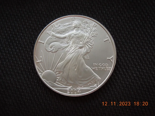 2004 american silver eagle 1 oz .999 fine silver ungraded