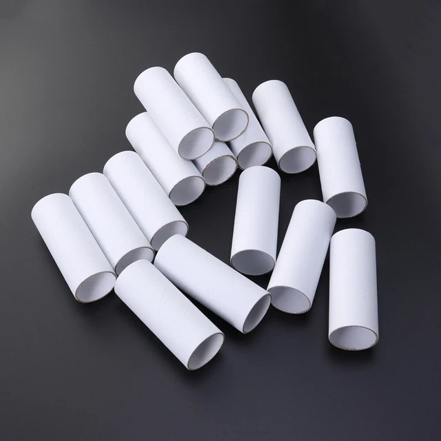 15 PIEZAS Tubos de cartón blancos para niños pequeños para hacer manualidades Tubos de cartón blanco