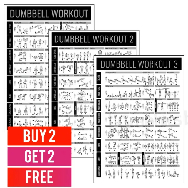 Workout Dumbbell Fitness Training Chart Exercise *LAMINATED* Poster PRINT A4 A3