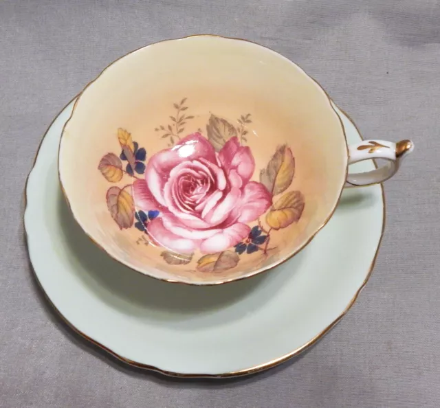 Paragon Double Warrant Vintage Teacup & Saucer Set Lavender Pink Cabbage Rose