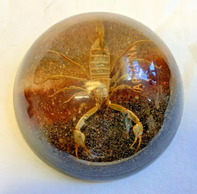 Large Scorpion Arizona Paperweight Predator Arachnid Athropod Home Interior Desk