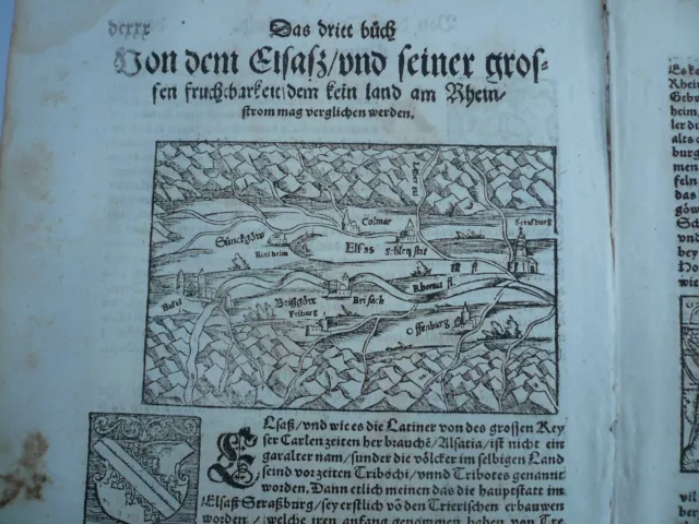 Elsass-Rheinlauf-Alsace-Basle-Course of the Rhine, anno 1550, Münster Sebastian,