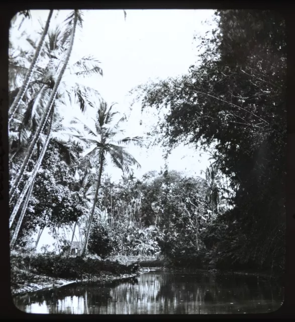 Scarce 1880/90s Glass Stereoview Photo India Malabar In A Creek By Dunsterville