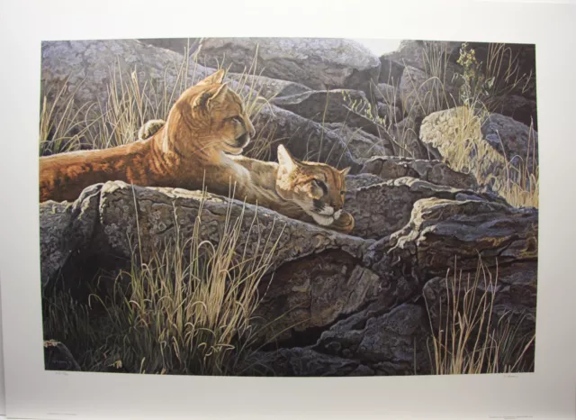 Terry ISAAC Afternoon Light Young Cougars LTD art print MINT in Folder A.P.