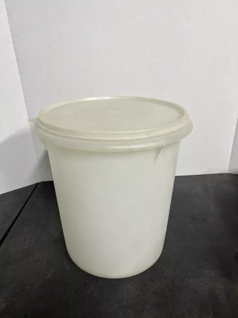 Vintage Tupperware Large Sheer Storage Container 255 Millionaire