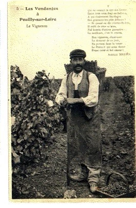 (S-94611) France - 58 - Pouilly Sur Loire Cpa