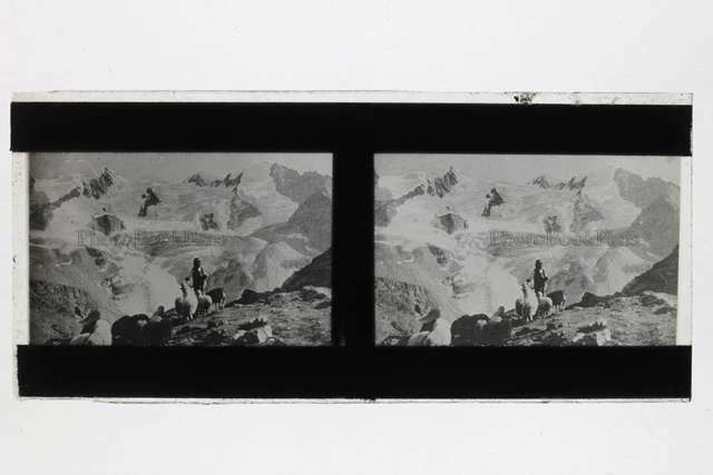 Montagne Alpes Berger Photo L6 Plaque de verre Stereo Vintage