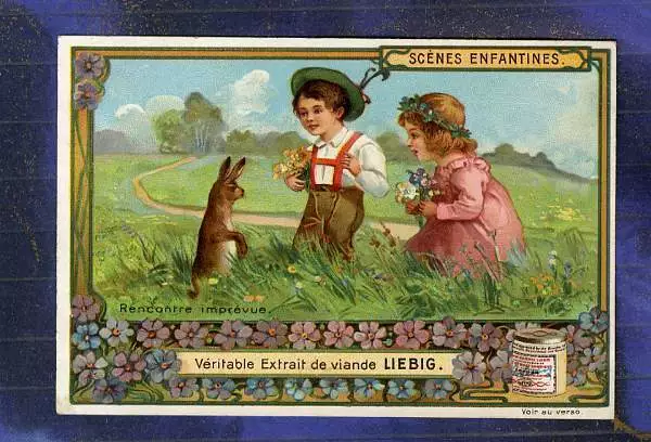 Chromo Liebig S773 S 773 Enfants Children Violettes Violets Lapin Rabbit 1904