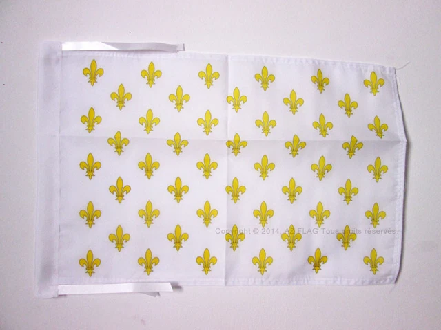 Pavillon Nautique Loire-Atlantique (44) - 45x30cm - Polyester 150D Marine - Bords Renforcés - AZ FLAG - Anneaux Plastique