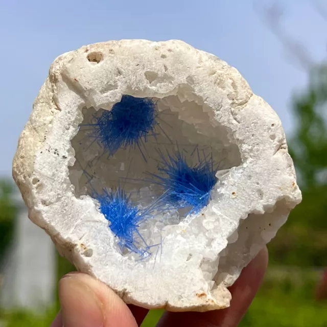 88G Rare Moroccan blue magnesite and quartz crystal coexisting specimen