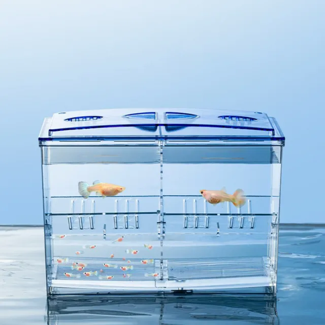 Clear Acrylic Mini Fish Tank With Detachable Divided Compartments Beta Fish Tank