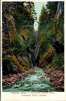 Oneonta Gorge Columbia River Oregon OR Unposted Vintage Postcard