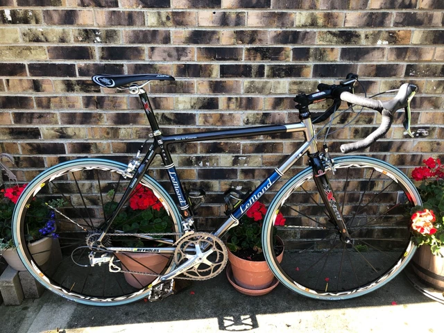 55 CM academic LEMOND ROAD