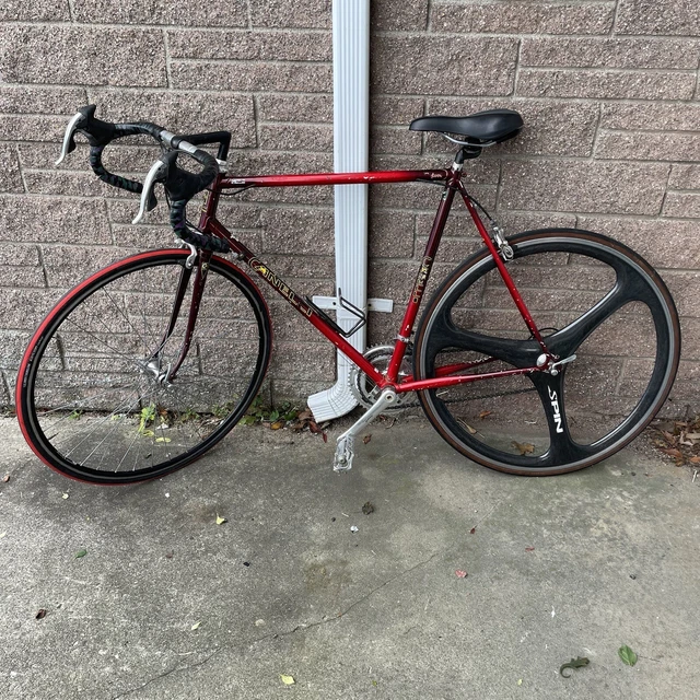 Vintage Canelli Pista Campagnolo Avanti Road Bike 22” Frame Vintage Canelli Pista Campagnolo Avanti Road Bike 22” Frame