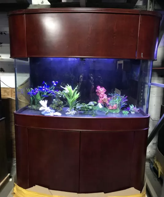 WARRANTY INCLUDED! 170 gallon GLASS bow front aquarium fish tank in cherry wood