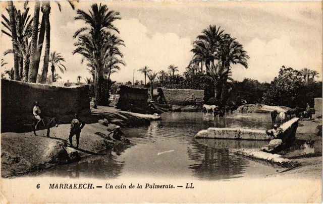CPA AK MARRAKECH - Un coin de la Palmeraie MAROC (796494)