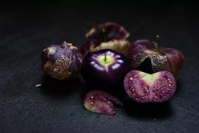 50+ Graines de Tomatillo du Mexique Pourpre, Physalis Ixocarpa Purple seeds 3