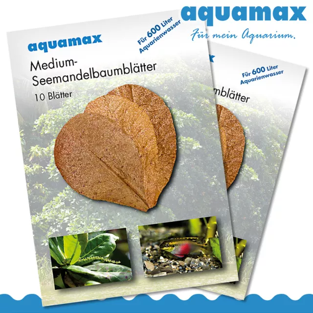 Aquamax 2 X Moyen Feuilles D'Amandes de Mer (Terminalia Catappa Feuilles)