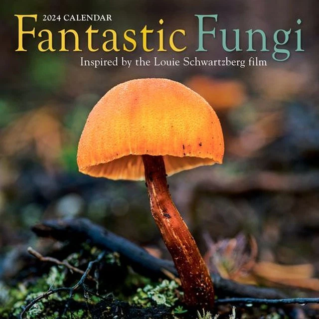 WORKMAN PUBLISHING, Fantastic Fungi 2024 Wall Calendar 17.95 PicClick