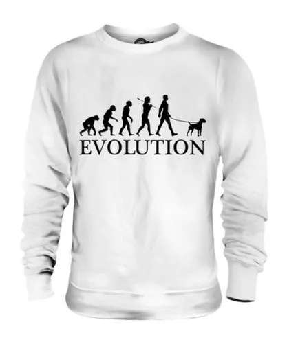 Border Terrier Evolution Of Man Unisex Sweater Mens Womens Ladies Dog Lover Gift