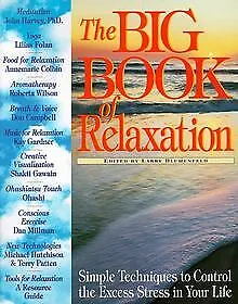 The Big Book of Relaxation: Simple Techniques to Co... | Buch | Zustand sehr gut