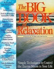The Big Book of Relaxation: Simple Techniques to Co... | Buch | Zustand sehr gut