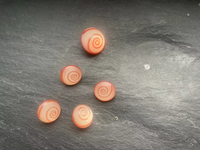 5 aprikot-weiße Knöpfe, 1 x 23 mm und 4 x 18 mm Durchmesser