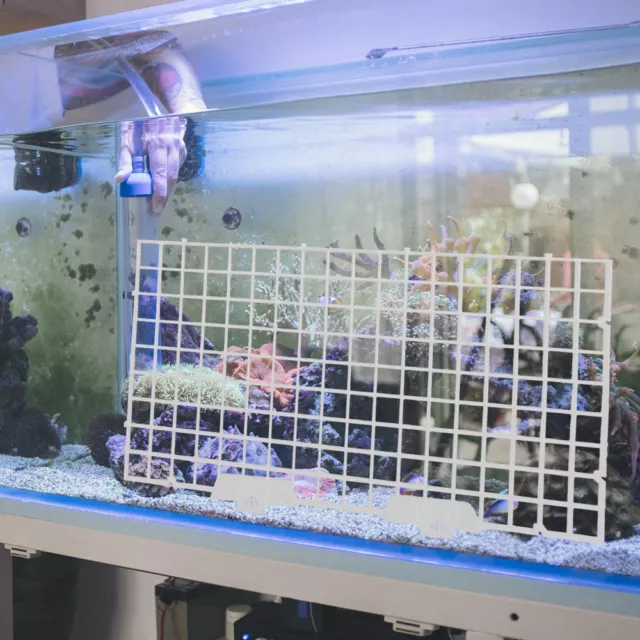 Suction Cup Aquarium Divider Isolation Board Tank Fish Terrarium