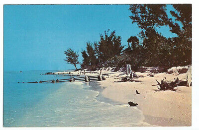 Sanibel Captiva Island Florida FL Postcard Beach Fort Myers