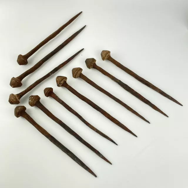 Collection Of 10 Ancient Large Iron Nails / Pegs 21cm - 25cm Heads 2.5-3cm