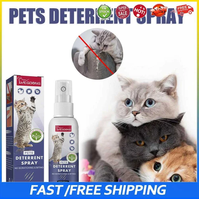 #b Spray disuasorio para gatos naranja fragancia en aerosol sofá muebles protegido