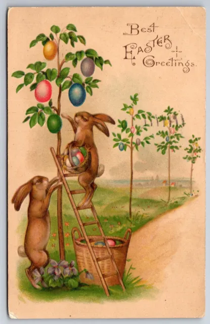 Easter Fatnasy~Rabbits Pick Colored Eggs From Trees~Bunny on Ladder~1907 UBD PC