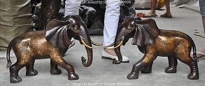 24" chinese fengshui bronze Elephas maximus African animal elephant statue pair
