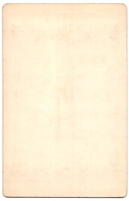 Fotografie F & O Brockmann´s Nachfolger, Ort unbekannt, Gemälde Madonna di San 2