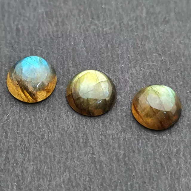 Natural Labradorite Round Cabochon Blue Fire Loose Gemstone Lot 3 Pcs 8 MM 4 CT