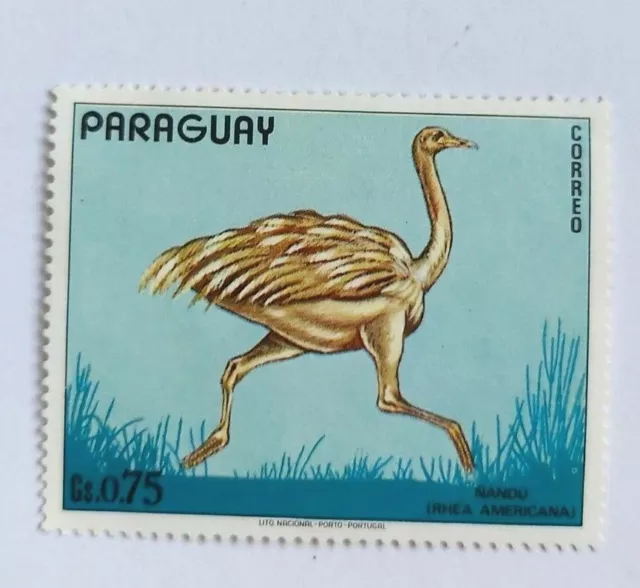 1972 Francobollo Paraguay Nandu Rhea Americana Sud America animali selvatici fauna