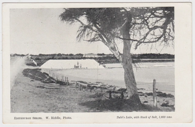 Tubb's Lake with Salt Stack Edithburgh c1910 Old Photo Postcard South Australia
