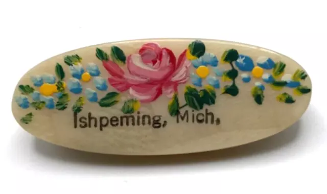 Vintage Hand Painted Floral Ishpeming Michigan Celluloid Pin Souvenir Brooch