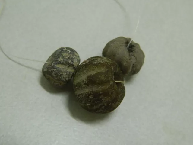 Ancient Melon 3 beads Bactrian 300 BC #BE1209